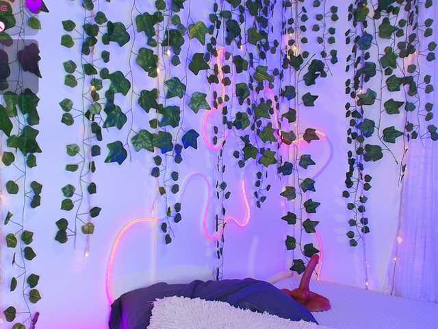 Preview of samii-evans