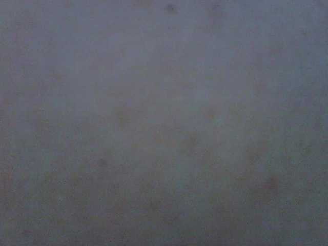 Leysun7's BongaCams show and profile