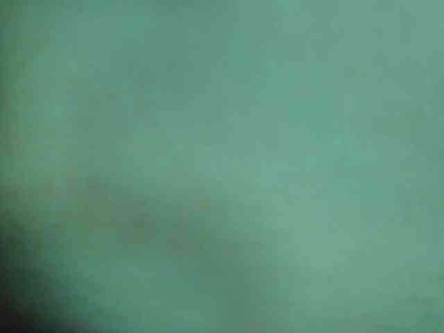Leysun7 webcam