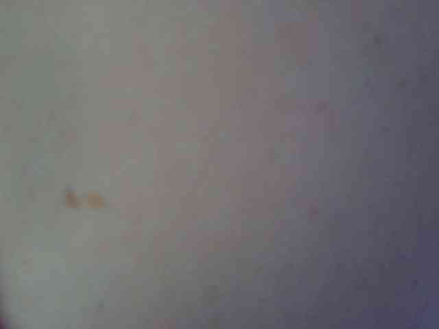 chat webcam Leysun7