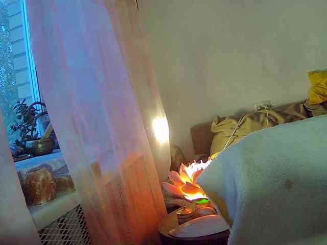 Leysun7 webcam