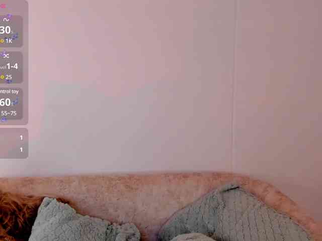 Ragasashi webcam