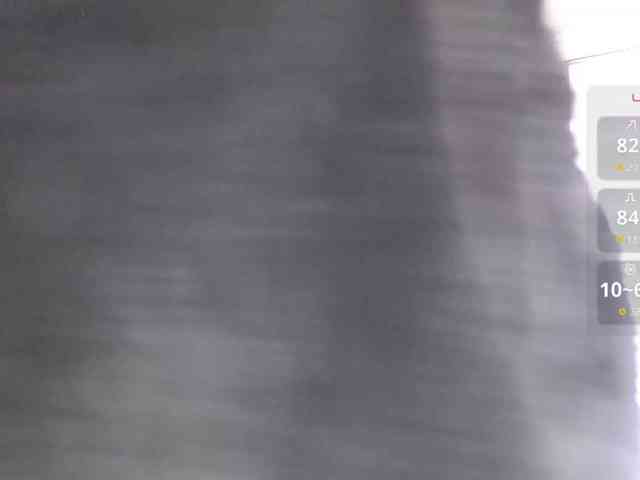 -MARIDRAGON- -MARIDRAGON-