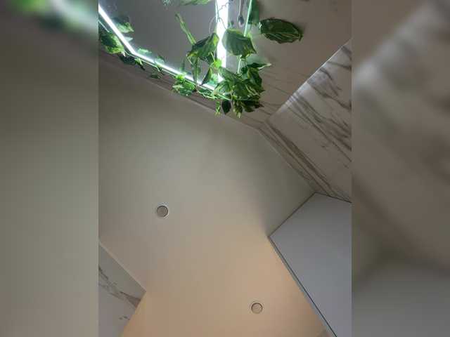 VAGNERMUR's BongaCams show and profile