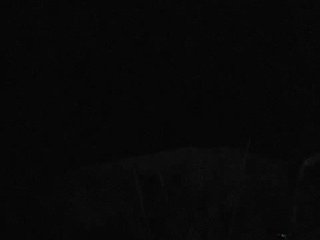 yuliia_3003 Porn Show