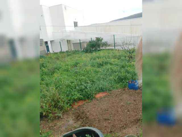 YourWitcher's BongaCams show and profile