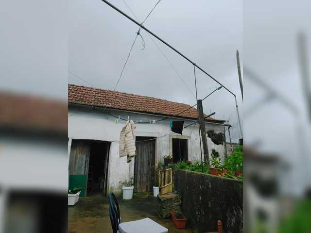 YourWitcher — Have a good mood everyone! SUPER VIBRO 26!!!! We're raising money for a nice day @total @remain