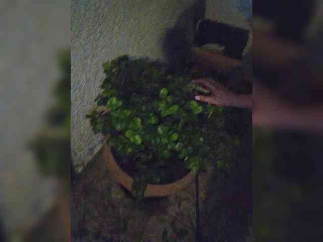 yuliia_3003 webcam