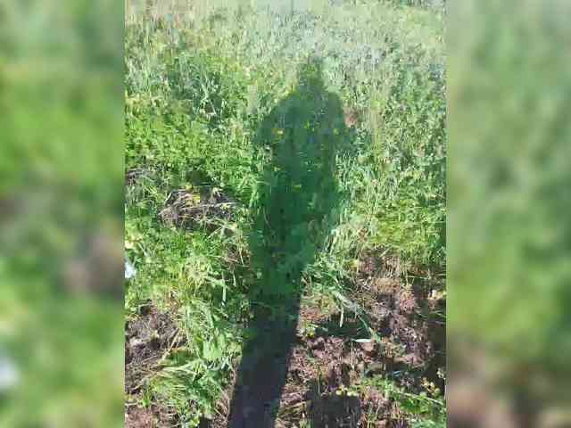 YourWitcher YourWitcher