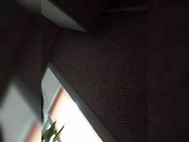 JasyJoe webcam