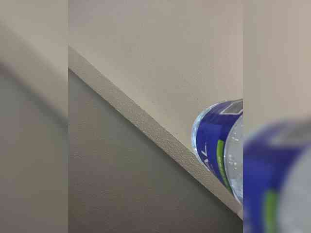 sofia-grey webcam