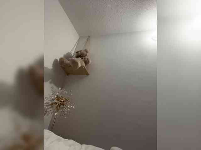 sofia-grey webcam