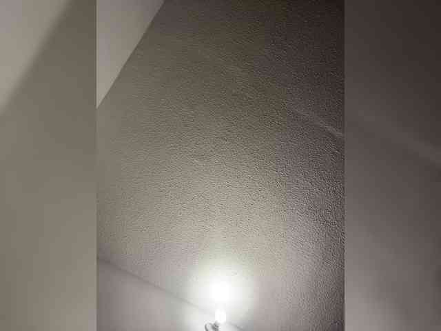 sofia-grey webcam