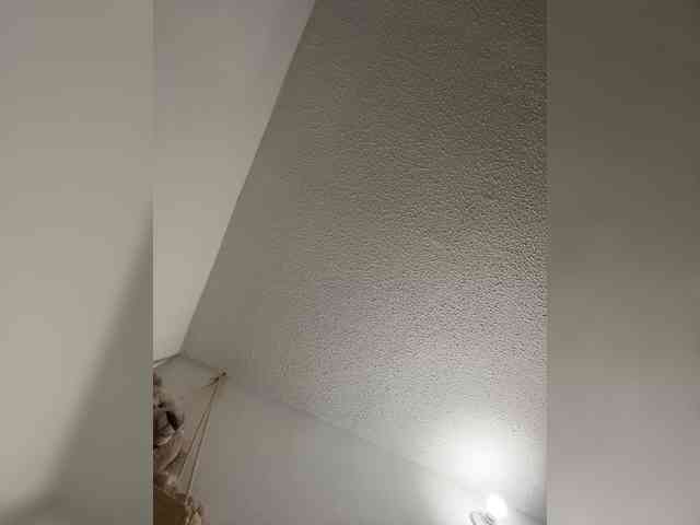 sofia-grey webcam