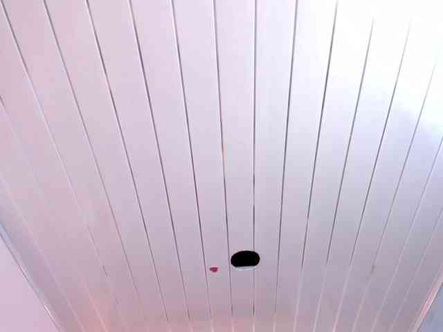 danaylia webcam