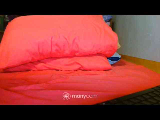 mainee webcam