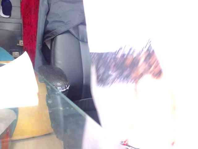 MARILYNWHANCO webcam