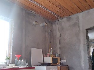 missReborn_Arieli Porn Show