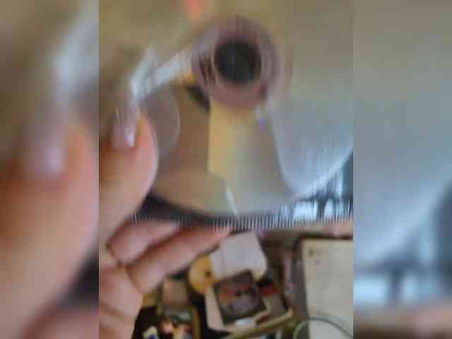 missReborn missReborn