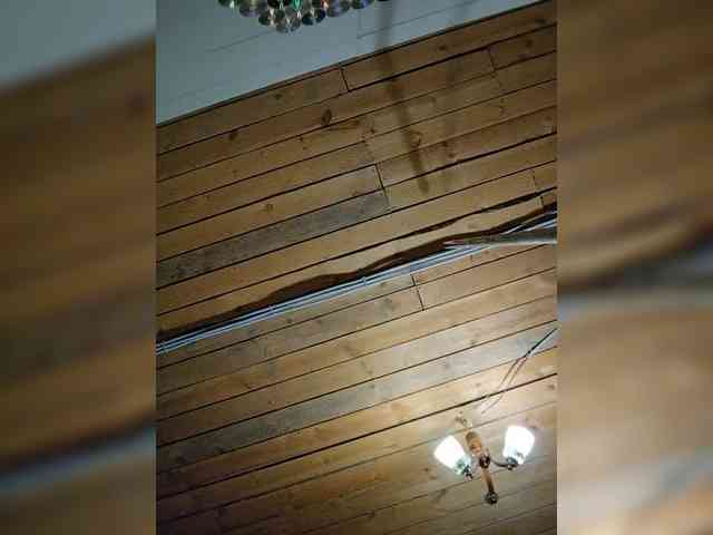 misReborn_Arieli webcam