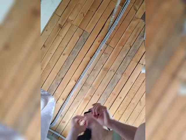 misReborn_Arieli webcam