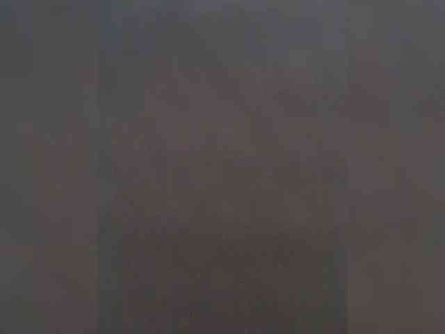 misReborn_Arieli webcam