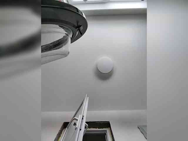 misReborn_Arieli webcam