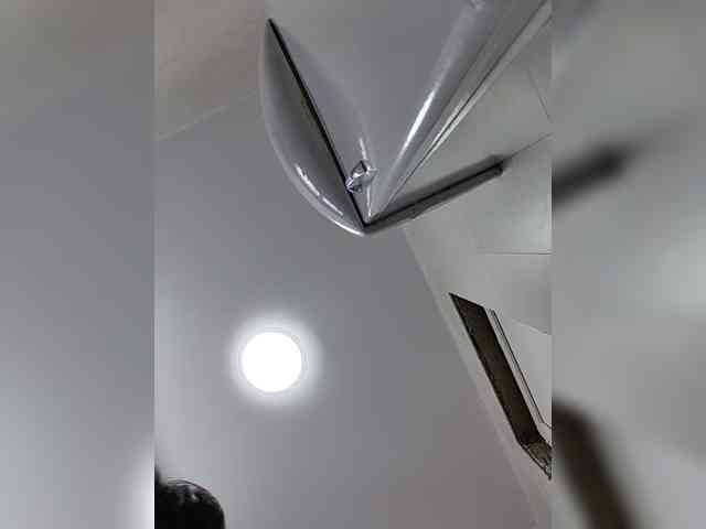 misReborn_Arieli webcam