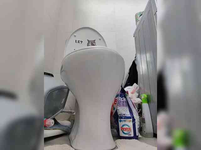 misReborn_Arieli webcam