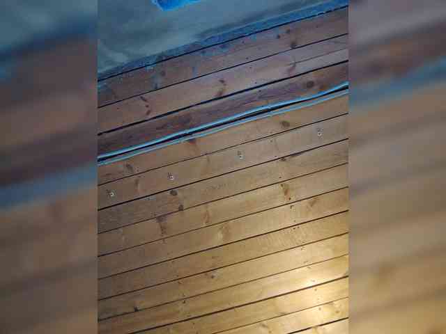 missRebornAriel webcam