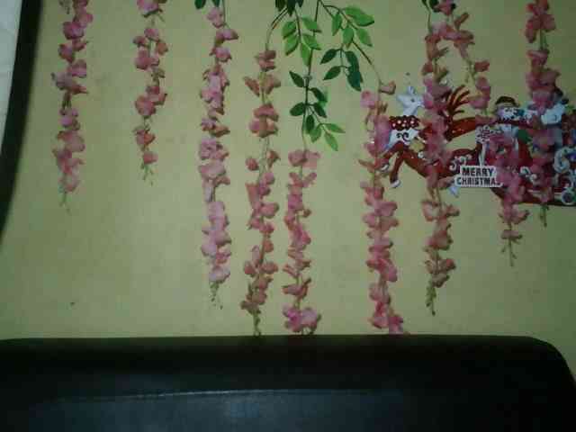 Pussy01lips Pussy01lips