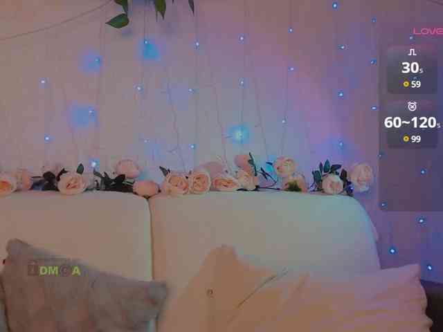 inheart webcam