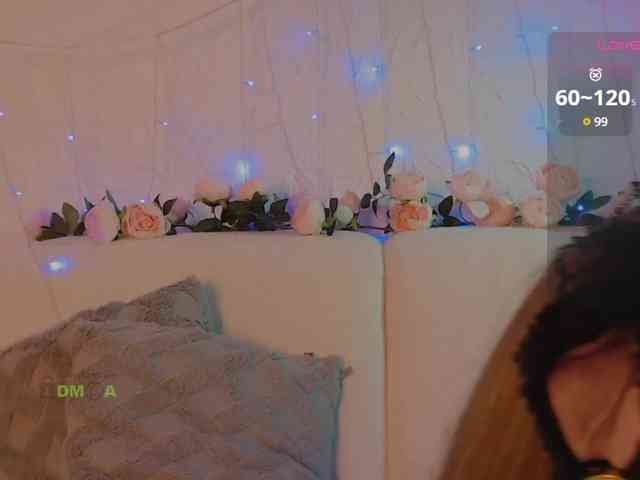 inheart webcam