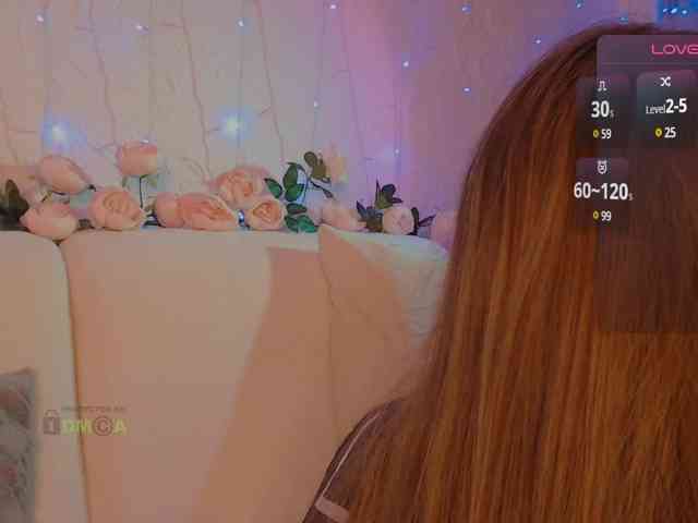 inheart webcam