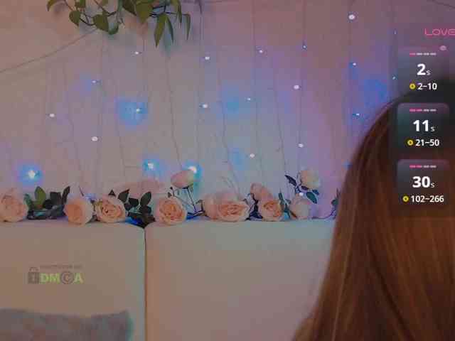 inheart webcam