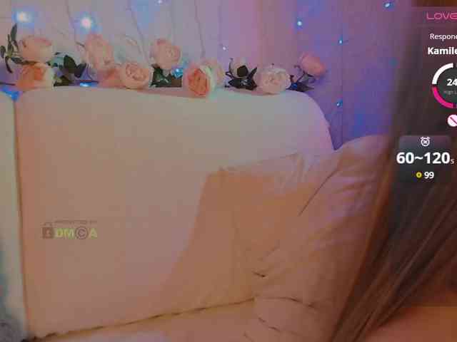 inheart webcam