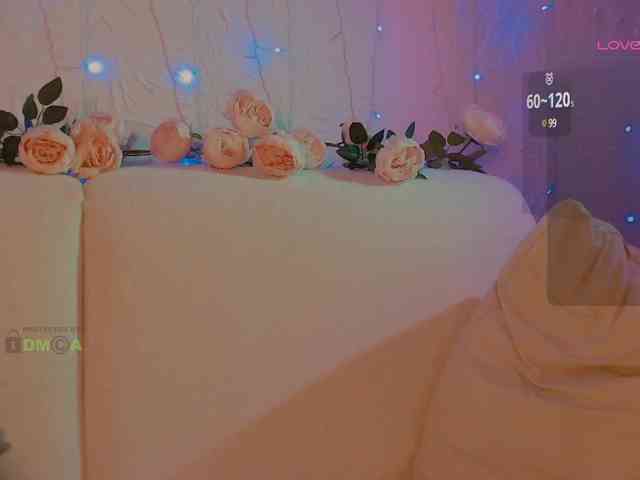 inheart webcam