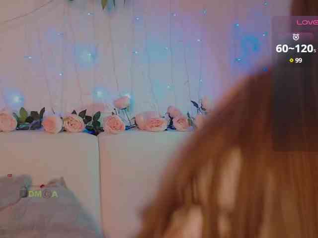 inheart webcam