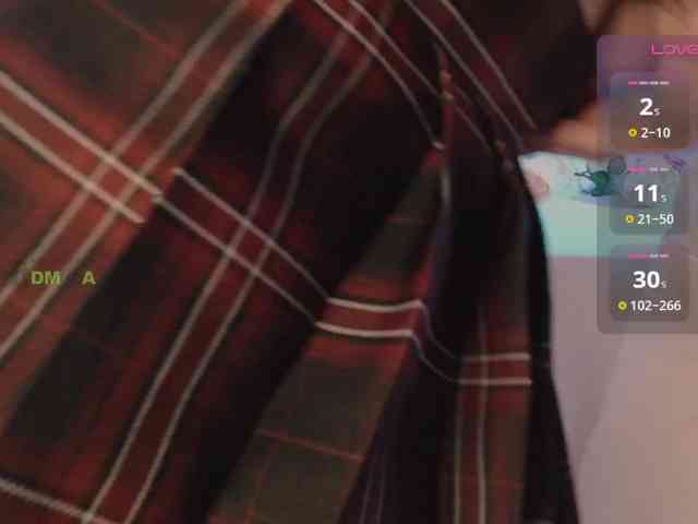 inheart webcam