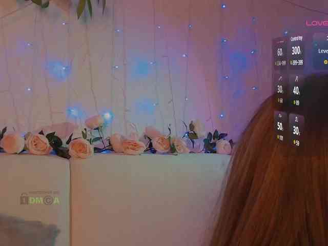 inheart webcam