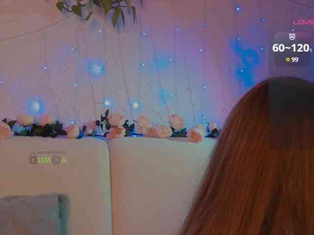 inheart webcam