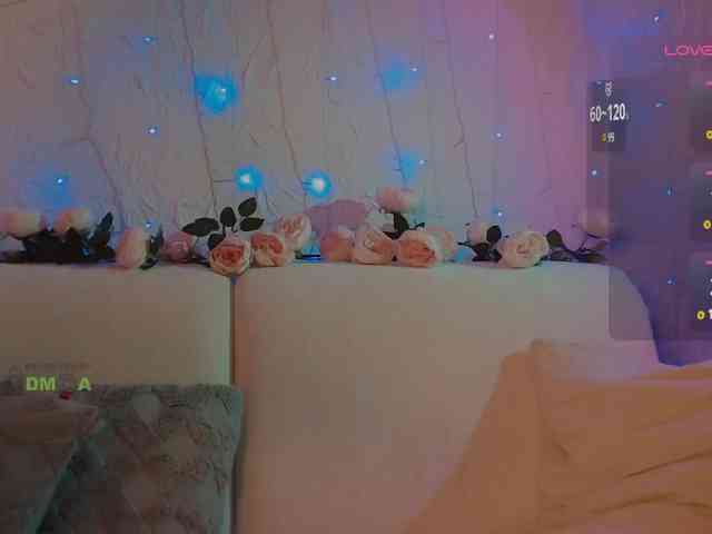 inheart webcam