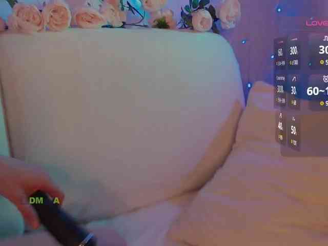 inheart webcam