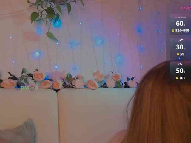 inheart webcam
