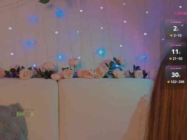 inheart webcam