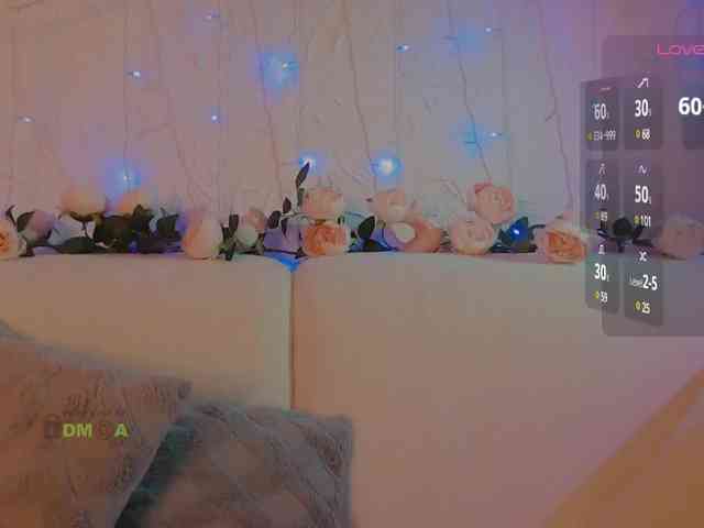 inheart webcam