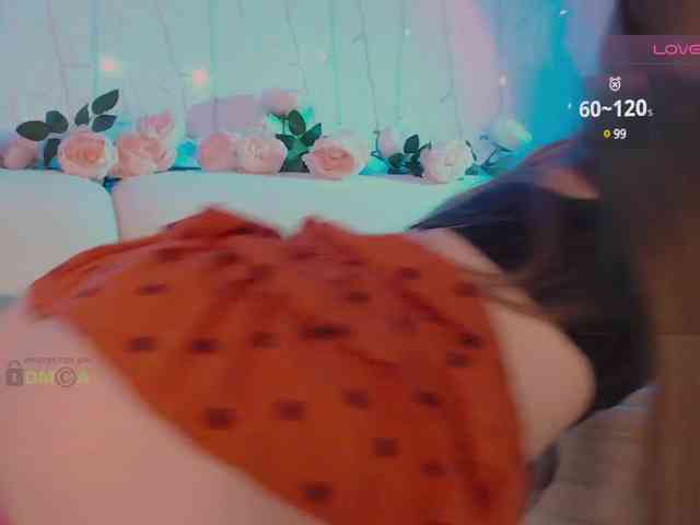 inheart webcam