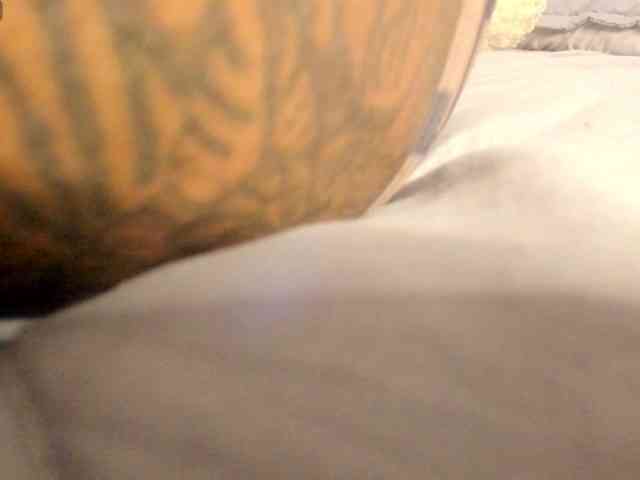 Lexxiiross webcam