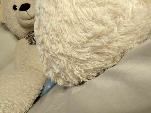 Lexxiiross webcam
