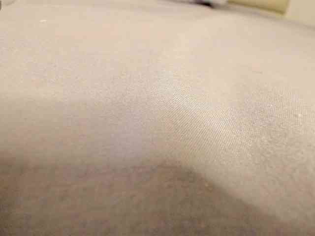 Lexxiiross webcam